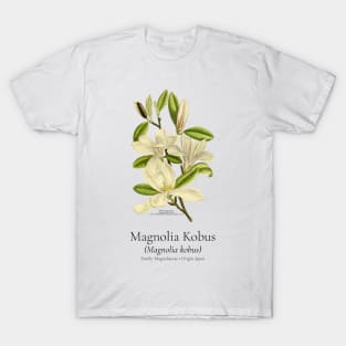 Magnolia Kobus (Magnolia kobus) | FOGS Vintage Botanical Archive Collection - BOT-FL-005-B T-Shirt